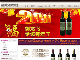 沈阳御龙飞商贸有限公司