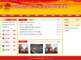 辽宁农业职业技术学院-团委