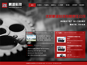 沈阳鹏源科技有限责任公司